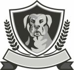 Rottweiler Head Laurel Leaves Crest Black And White Stock Photo