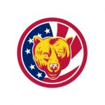 American Brown Bear Usa Flag Icon Stock Photo