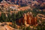 View Of Bryce Canyon In Autumn Stock Photo