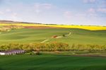 Spring Farmland On Hills. Green And Yellow Spring Fields Stock Photo