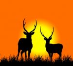 Silhouette Of Deer Stock Photo