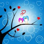 Heart Owls Indicates Valentine Day And Environment Stock Photo