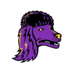 Poodle Head Mascot Stock Photo