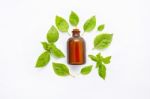 Basil Essential Oil With Basil Leaves On White Stock Photo