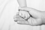 Father Holding Child Hand Stock Photo