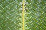 Pattern Weaving Of Coconut Leaves Stock Photo