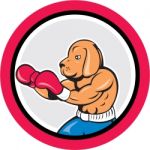 Dog Boxer Boxing Circle Cartoon Stock Photo