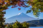 Mountain Fuji With Morning Light And Red Maples Leaves Tunnel Stock Photo