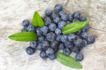 Blueberry Antioxidant Organic Stock Photo