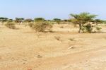 Sahara Desert Landscape Near Khartoum In Sudan Stock Photo