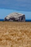 View Of Bass Rock In Firth Of Forth Stock Photo