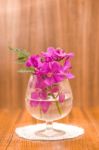 Still Life Beautiful Purple Orchid Flower Stock Photo
