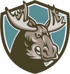 Angry Moose Mascot Shield Stock Photo