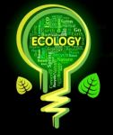 Ecology Words Represents Light Bulb And Earth Stock Photo