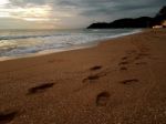 Footprint On The Beach Stock Photo