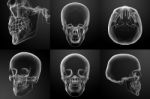 3d Rendering Illustration Of The Skull Stock Photo