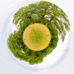 Meadow With Trees Like Little Planet Stock Photo