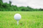 Golf Ball On Grass Stock Photo