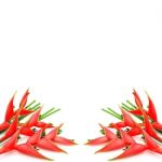 Heliconia Isolated Stock Photo