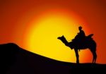 Silhouettes Of Camels At Sunset Stock Photo