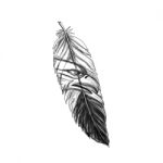 Sea Eagle Feather Tattoo Stock Photo