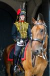 London - July 30 : Kings Troop Royal Horse Artillery In Whitehal Stock Photo