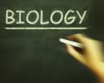 Biology Chalk Shows Science Of Living Things Stock Photo