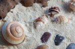 Shells And Stones Stock Photo