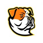 American Bulldog Mascot Stock Photo