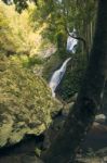 Kondalilla Falls In Kondalilla Falls National Park Stock Photo