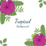 Tropical Leaves And Flowers On White Background. Exotic Botanica Stock Photo