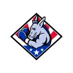 American Donkey Boxer Usa Mascot Stock Photo
