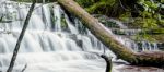 Liffey Falls In The Midlands Region, Tasmania Stock Photo