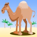Camel In The Desert Stock Photo