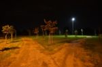 Night Public Park In The City With Houses Near Stock Photo