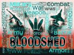 Bloodshed Words Shows Armed Conflict And Battles Stock Photo