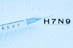 H7n9 Virus,avian Influenza Concept Stock Photo