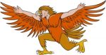 Lleu Llaw Gyffes Spread Eagle Cartoon Stock Photo