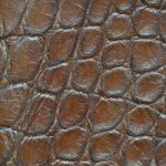 Leather With Crocodile Dressed Texture Stock Photo