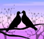 Love Birds Represents Compassion Passion And Heart Stock Photo