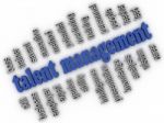 3d Imagen Talent Management  Concept Word Cloud Background Stock Photo