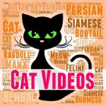 Cat Videos Shows Kitty Feline And Pet Stock Photo