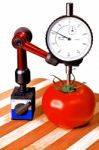 Precision Tomato Stock Photo