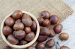 Chestnut On Wooden Stock Photo