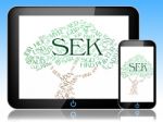 Sek Currency Represents Worldwide Trading And Exchange Stock Photo