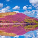 Colorful Landscape Scenery Of Pentland Hills Slope Covered By Pu Stock Photo