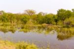 Landscape In Botswana Stock Photo