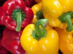 Red & Yellow  Bell Peppers Stock Photo