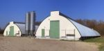 Shed For Poultry Farm Stock Photo