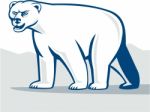 Polar Bear Isolated Cartoon Stock Photo